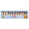 Utrecht Artists' Watercolor Paint - Set of 12, Portrait Colors, 14 ml tubes